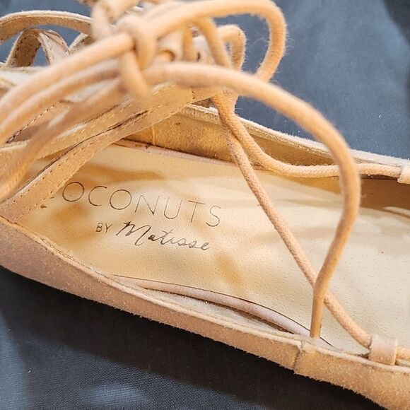 BRAND NEW COCONUT BY MATISSE POINTED TOE LACE UP WOMEN'S BALLET FLAT SHOE - Picture 13 of 14